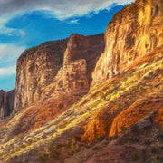 Desert landscape canvas art print 