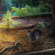 Mountain Grouse canvas art print by Chuck Black