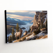 'Western Beauty' canvas print, capturing the majestic presence of Big Horn Sheep, a perfect addition for any wildlife lover's collection