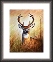 "Backwoods Monarch" - Framed Whitetail Deer Art Print