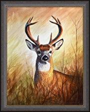 "Backwoods Monarch" - Framed Whitetail Deer Art Print