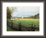 "Misty Mornings" - Framed Smoky Mountains, Cades Cove Art Print