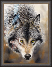 "Natures Beauty" - Framed Wolf Art Print