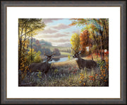 "October Bliss" - Framed Whitetail Deer Art Print