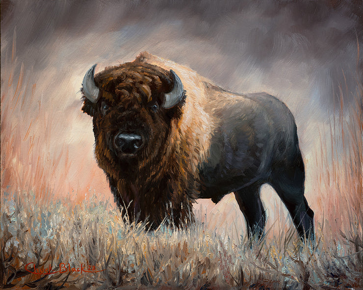"Power" - Bison Special Remarqued Art Print