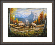 "The Wild Frontier" - Framed North American Wildlife Art Print