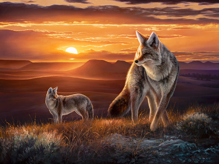 "The Setting Sun" - 30x40 Coyotes on the Prairie Original Oil Painting