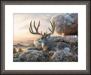 "The Lawmaker" - Framed Mule Deer Art Print