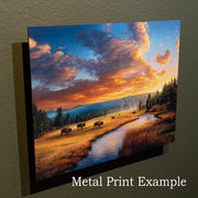 "Spring Rooster" - Ring-necked Pheasant Metal Print
