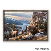 Framed 'Western Beauty' canvas art print showcasing three majestic Rams, a vibrant display of Big Horn Sheep in their natural habitat