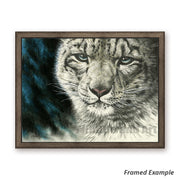 Framed Canvas Print of a Detailed Snow Leopard Portrait, Ideal for wildlife lovers