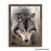 Framed Nature's Beauty Canvas Print - stunning Timber Wolf portrait