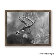 Framed 'Rainy Days' Canvas Print - detailed black and white buck portrait
