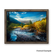 Framed Wildlife Landscape Canvas Art Print depicting a grizzly bear in its natural wilderness setting