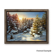 Framed Canvas Print of White-Tailed Buck in Snow with Trees and Sunset Background