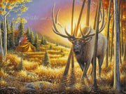 Original Painting - Wildlife and landscape art by Chuck Black