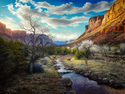 "Beneath The glory" - 30x40 Wildlife Art Landscape Painting