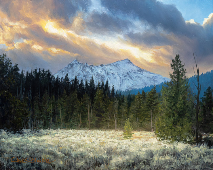 "Beyond Wild" 8x10 Landscape Painting