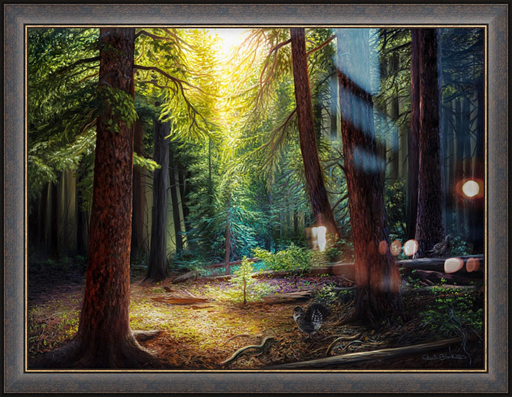 "Deep Within" - Framed Forest Landscape Art Print, Mountain Grouse