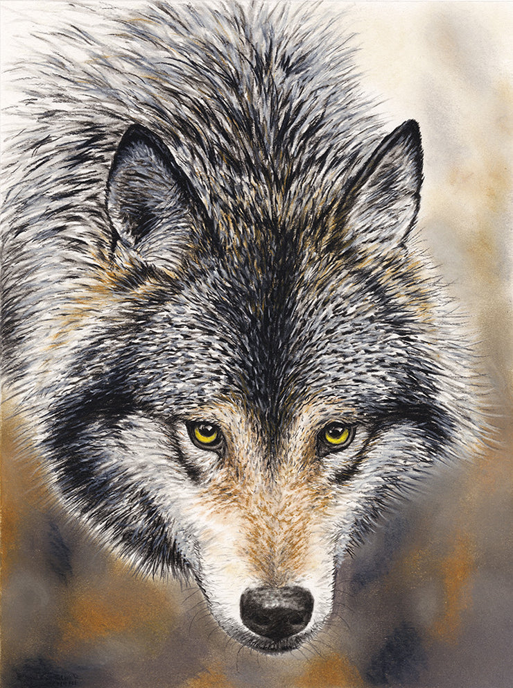 Timber Wolf Limited Edition Print - "Nature's Beauty"