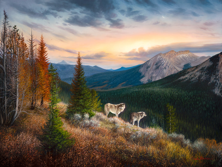 "The Edge" - 30x40 Wolf Landscape Painting