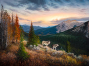 "The Edge" - Wolf Landscape Art Print