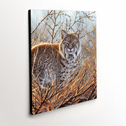 Bobcat Canvas Art Print - 'Always Watching' with Detailed Painting of a Camouflaged Bobcat in Tall Grass