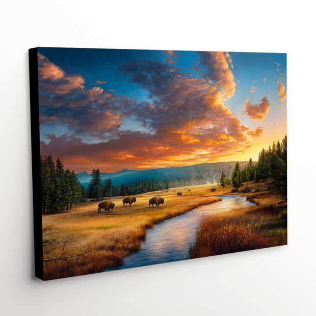 Bison and a stunning sunset in the 'A Never-ending Cycle' Western Landscape Canvas Art Print