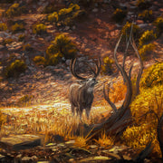 North American Wildlife - Mule Deer Painting