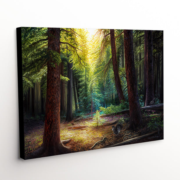 'Deep Within' canvas print, capturing the enchanting beauty of a forest bathed in glow, highlighted by the gentle presence of mountain grouse