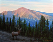 Bugling Elk Wildlife Art Print - "The Final Hour"