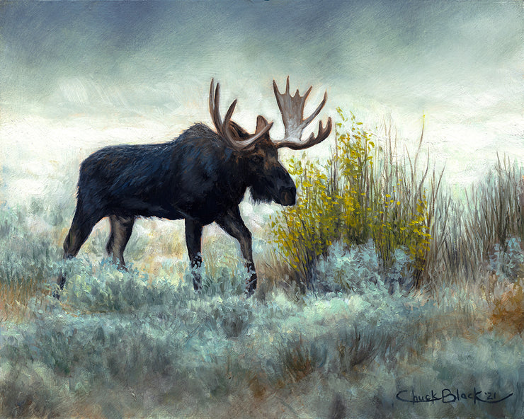 "Out Of The Fog" 8x10 Bull Moose Wildlife Painting