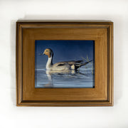 "Morning's Glow" 8x10" Pintail Waterfowl Painting
