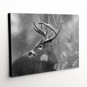 'Rainy Days' Canvas Art Print - majestic white tail buck in black and white