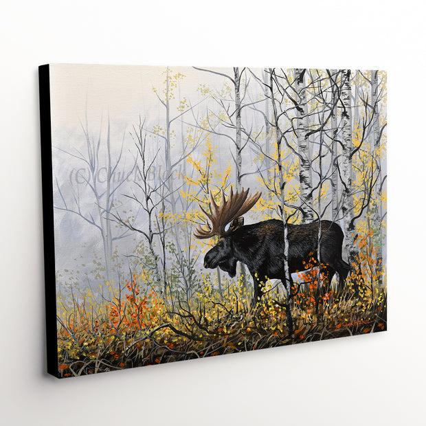 Bull Moose Canvas Wildlife Art Print - Rare Moments with moose in aspen grove
