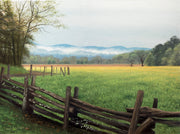 Original Painting - Wildlife and landscape art by Chuck Black
