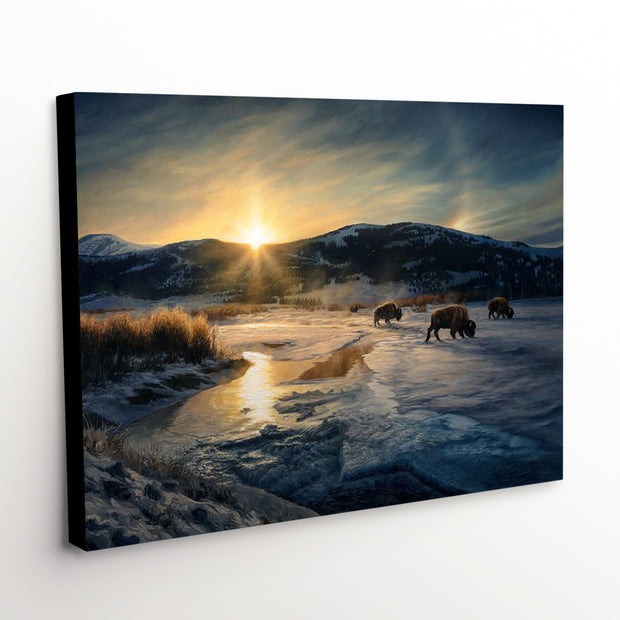"Sundog Days" - Sunrise Landscape Canvas Art Print, Yellowstone Bison