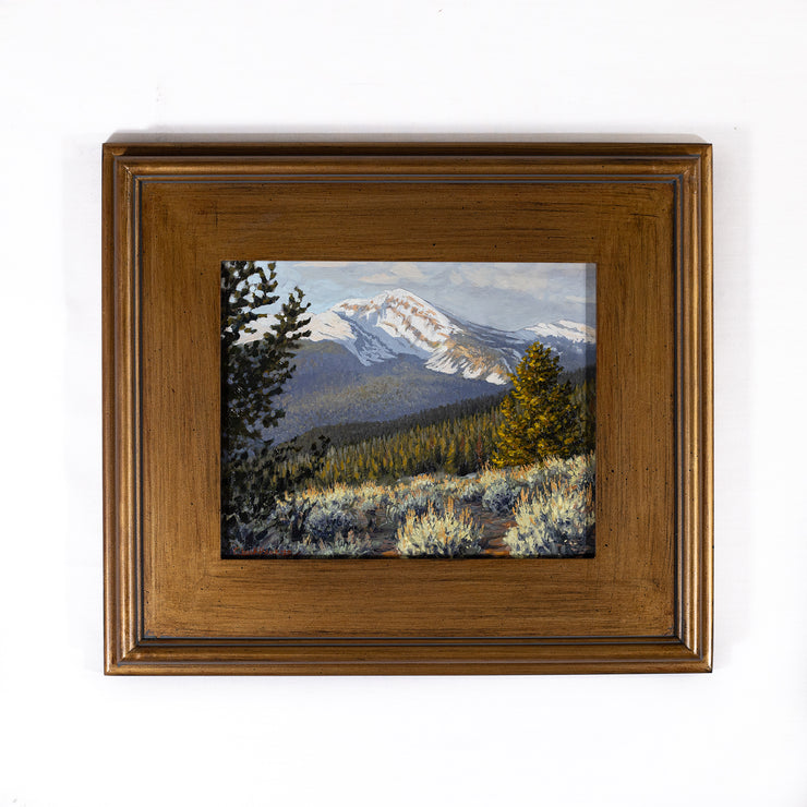 Wild Country 8x10 Plein Air Painting – Chuck Black Art