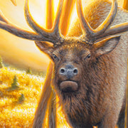 Original Painting - Wildlife and landscape art by Chuck Black