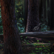 Forest Landscape Wildlife art print by Chuck Black