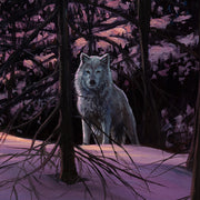 White Wolf at Night - Canvas art print