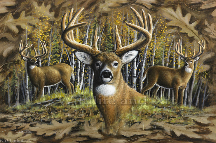 Original Painting - Wildlife and landscape art by Chuck Black
