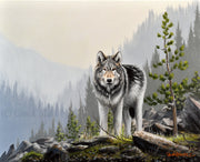 Art Print - Wildlife and landscape art by Chuck Black